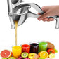Heavy-Duty Stainless Steel Hand Press Juicer