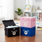 Home Storage Box – Portable Foldable Organizer with Lid