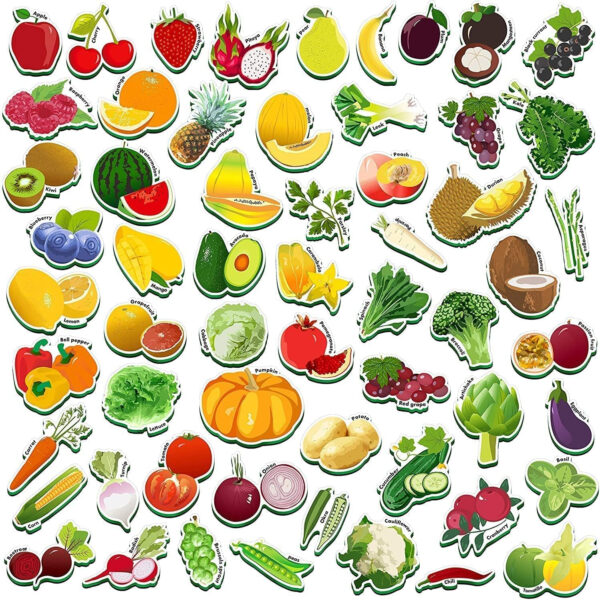 decorative fridge magnets set